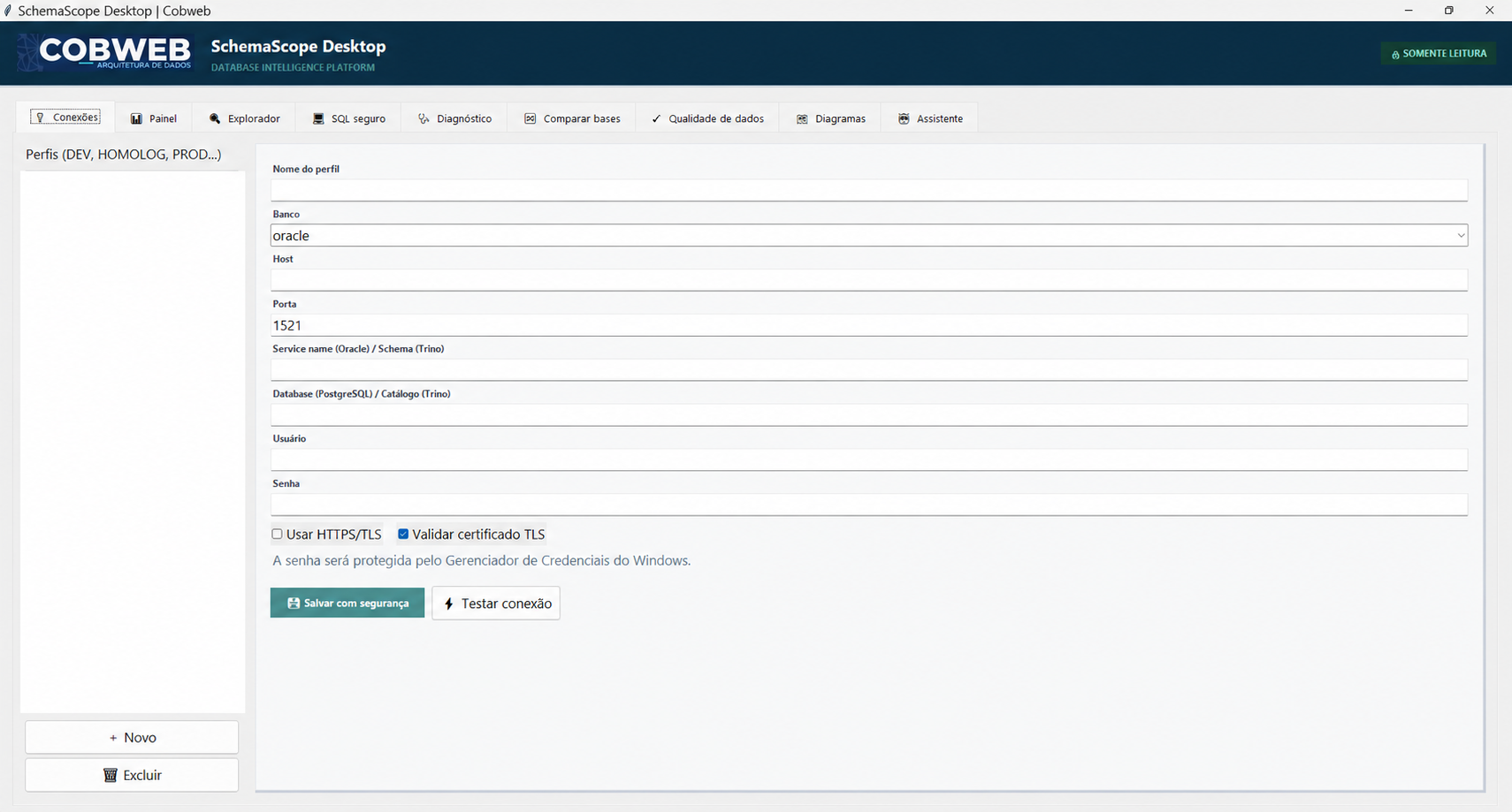 Tela de configuração de conexões do SchemaScope Desktop, sem perfis ou dados de bancos identificáveis
